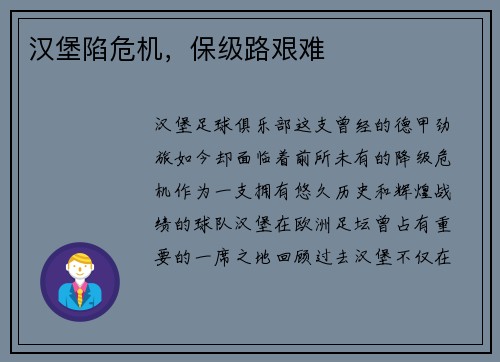 汉堡陷危机，保级路艰难